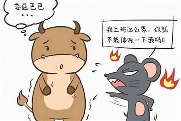 农历三月十五出生的人命运如何好不好