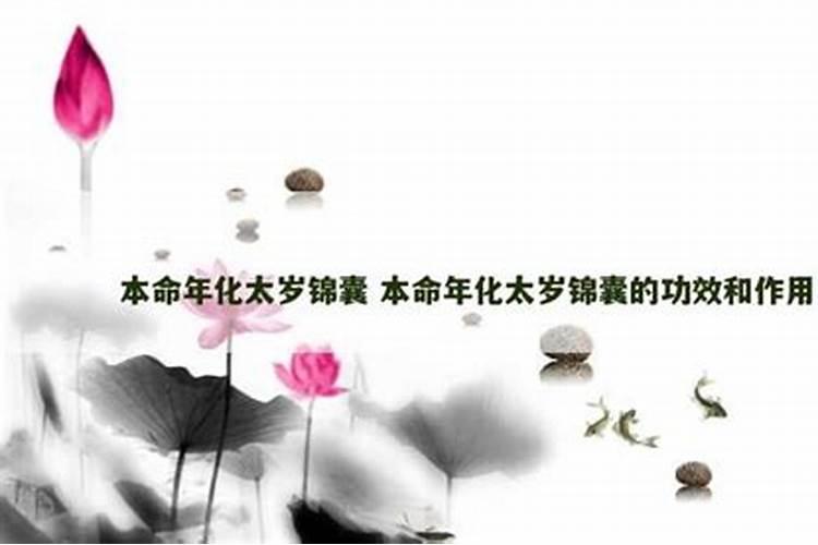 太岁锦囊说明书
