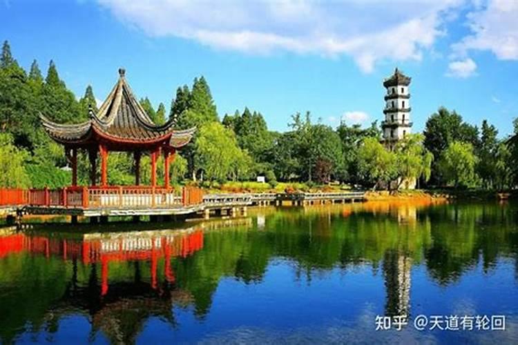 1959年属猪2024年运势及运程详解 59年属猪人2024年龙年每月运程