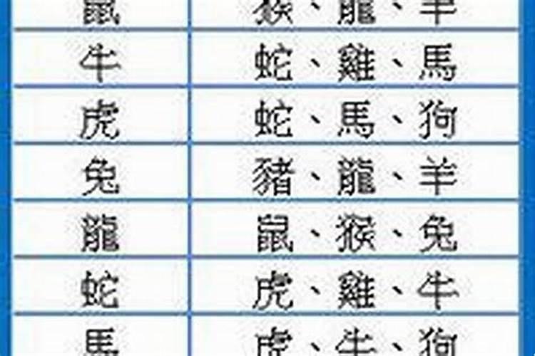 腊月猪命运如何,属猪腊月初八出生命运