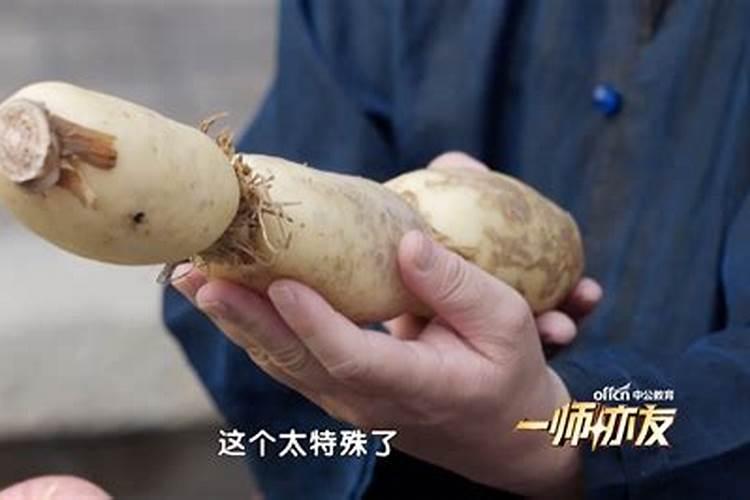 本人是1978年农历7月15日鬼节出生是什么星座