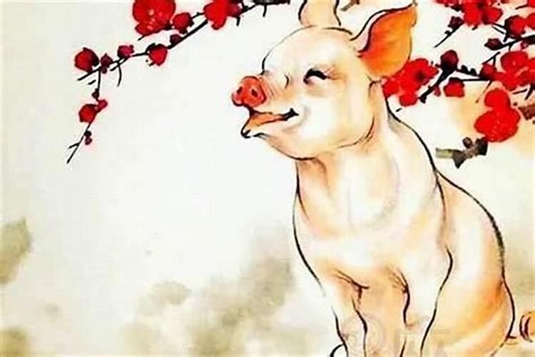 属猪的本命佛是啥？生肖猪带什么好？