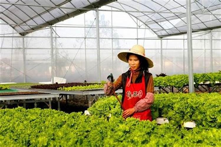 免费算命:女金命做什么生意蕞旺