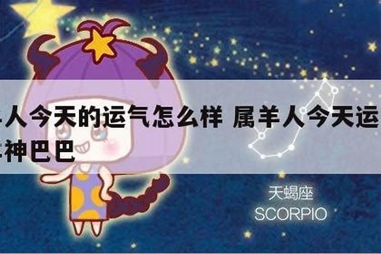 属羊的人今日运势360星座网
