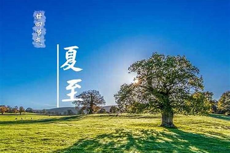 夏至是24节气的第几个节气 夏至是第几个节气
