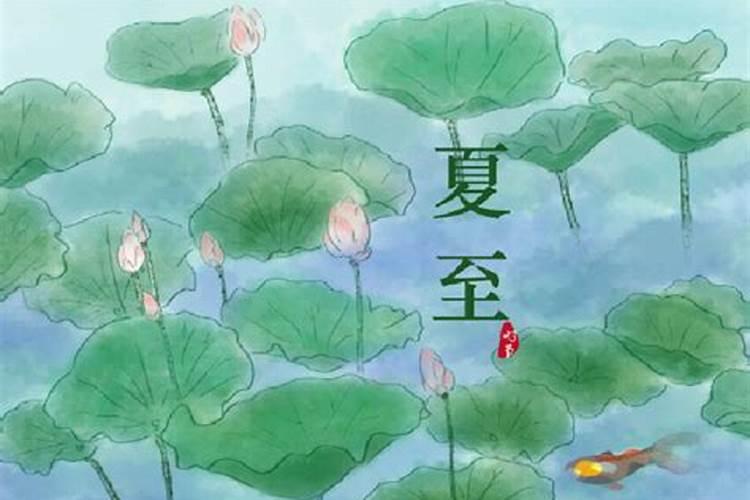 24节气夏至是什么意思