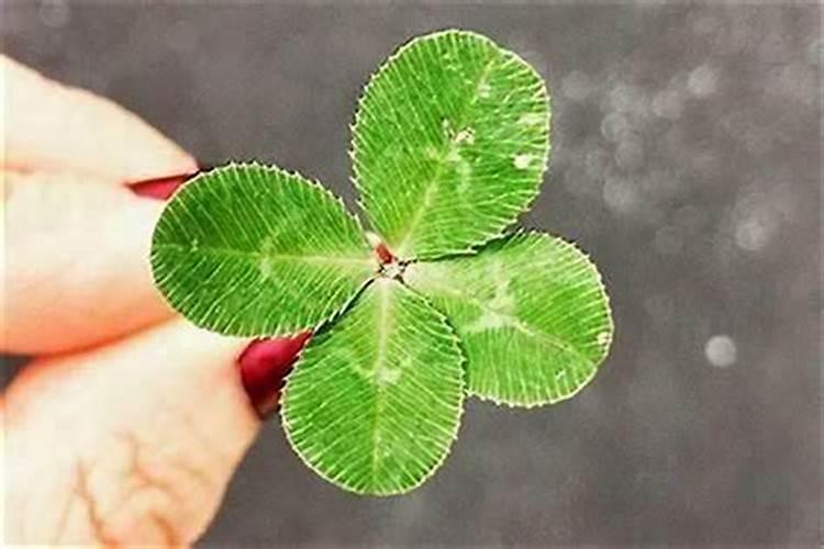 最近偏财运差了是怎么回事 财运变好的方法？