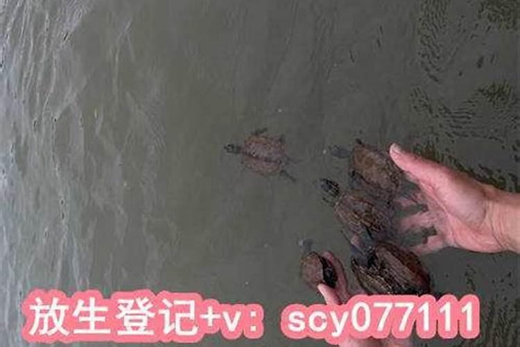 梦见人穿孝衣的预兆