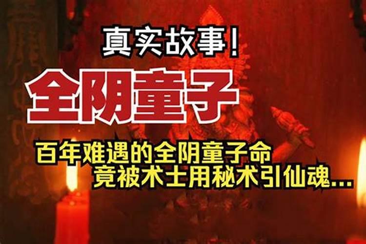 鸡和狗的属相合不合,父子鸡和狗的属相合不合