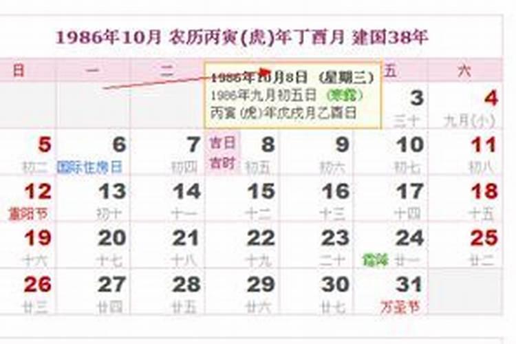 鹅喜欢吃什么食物