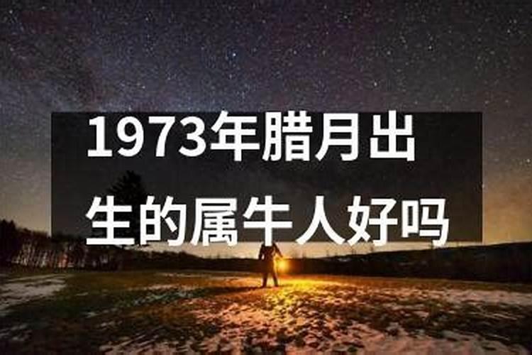 属牛的腊月出生最好命 一帆风顺容易成功？
