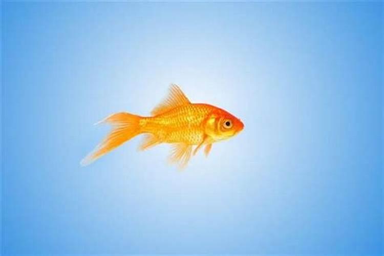 农历六月六日出生的人一生如何