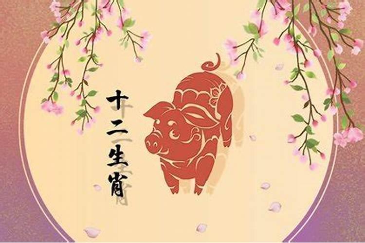 71年属猪男在2025年的全年运势