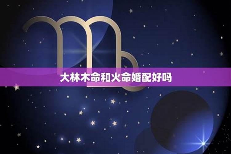 属猴人在2025年犯太岁时的具体化解方法