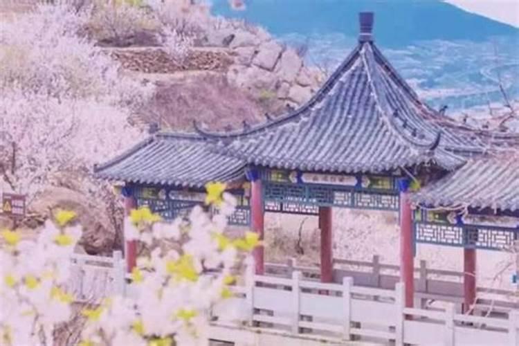山东有哪些节庆活动