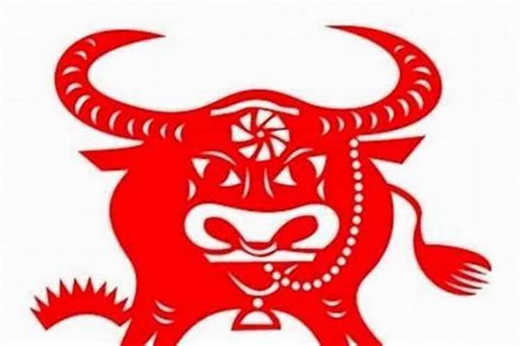 73年属牛的人50岁之后的命运如何