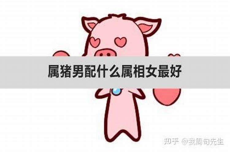 属狗女与属猪男相配吗 关系稳定可靠