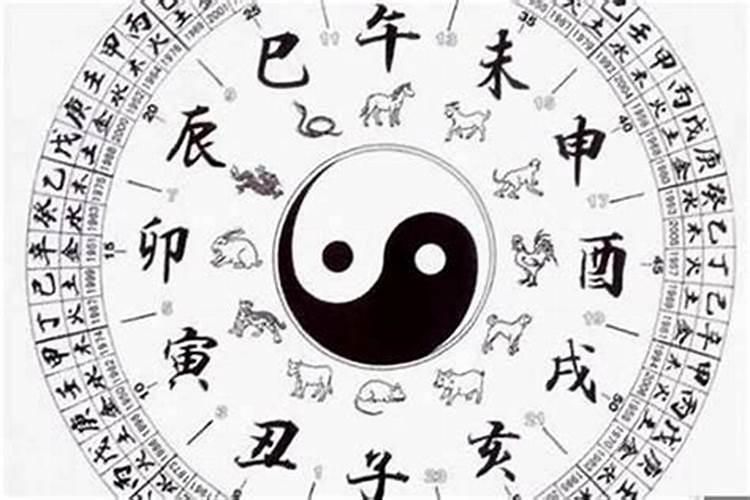 八字怎么看什么命