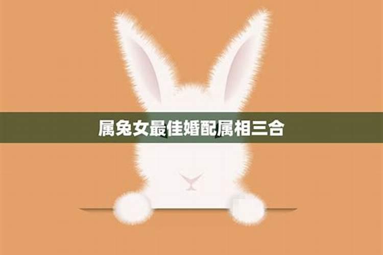 八字合婚:属兔和属兔的合财吗 婚配好不好呢