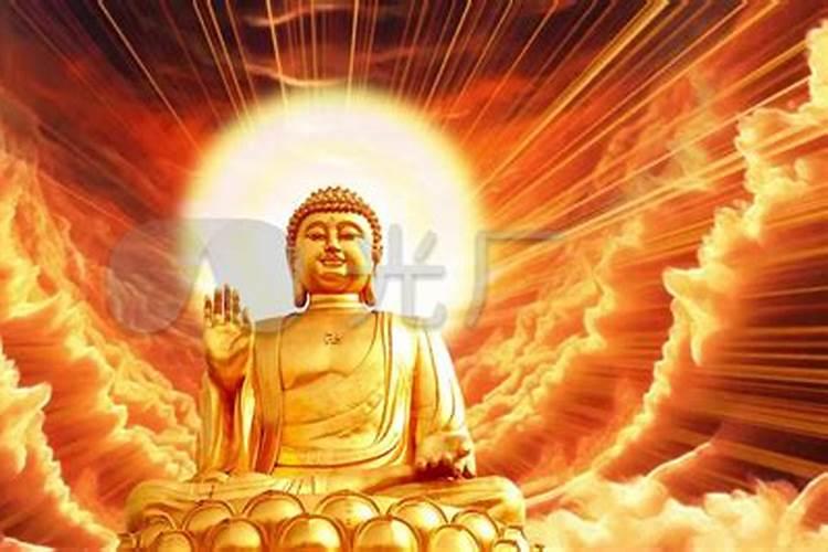 70年属狗男在2025年5月的运气