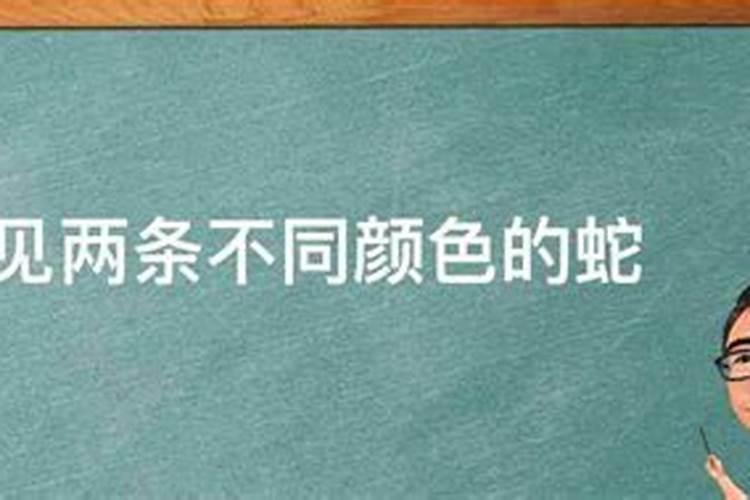 梦见掏大粪什么意思