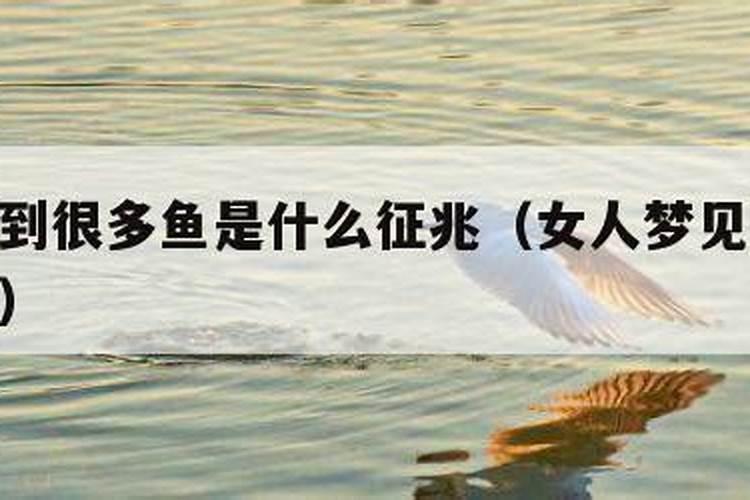 癸卯流年什么运气最旺