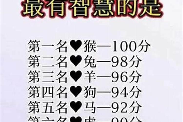 哪个生肖最聪明、最漂亮？