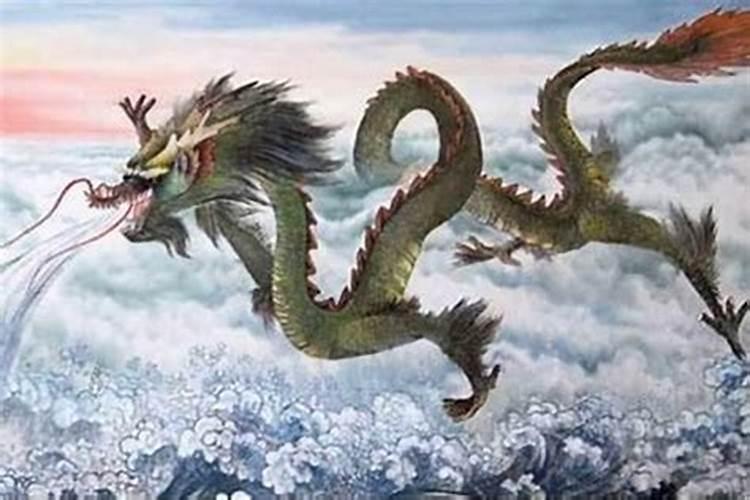 梦见收养很多猫的预兆
