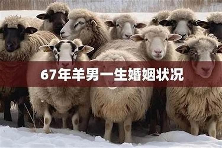 67年属羊男2025年运势及运程