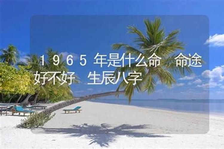 属蛇人出生日的命运属蛇每日出生的人命运
