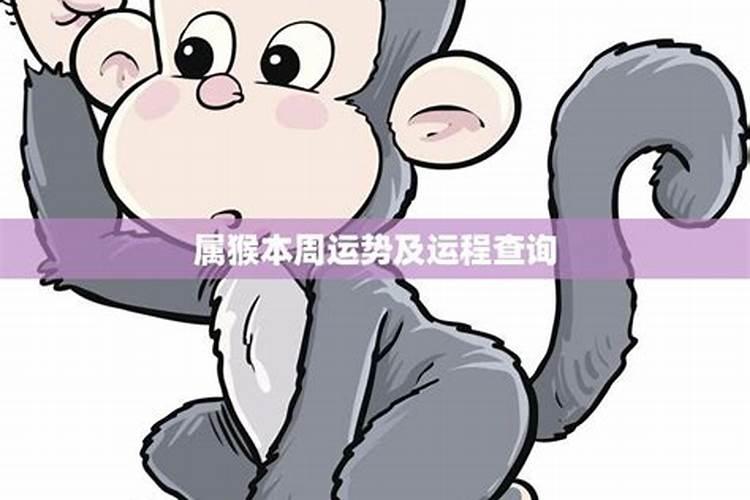 生肖猴的本周运势大全