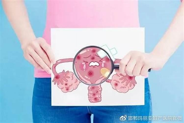 狗狗为什么害羞