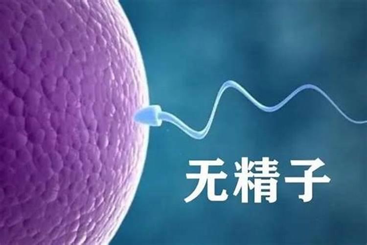 12生肖属马和什么比较合,属马的三合三害