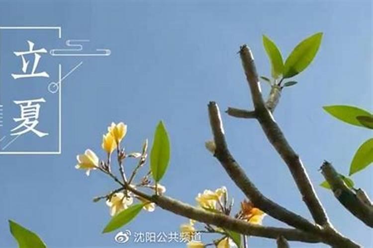 属龙几月份出生最好命