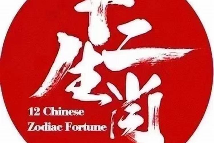 真正的太岁到底长什么样子？