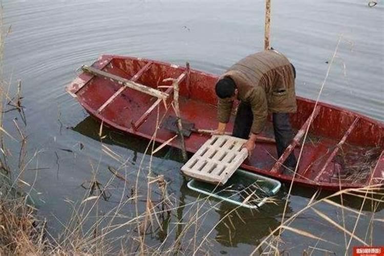 太岁是一种什么物体？有什么作用