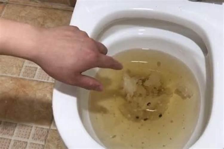 梦见和别人同骑一匹马什么意思