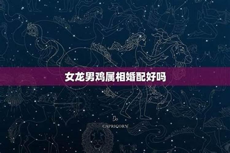娶妻不贤毁三代下一句