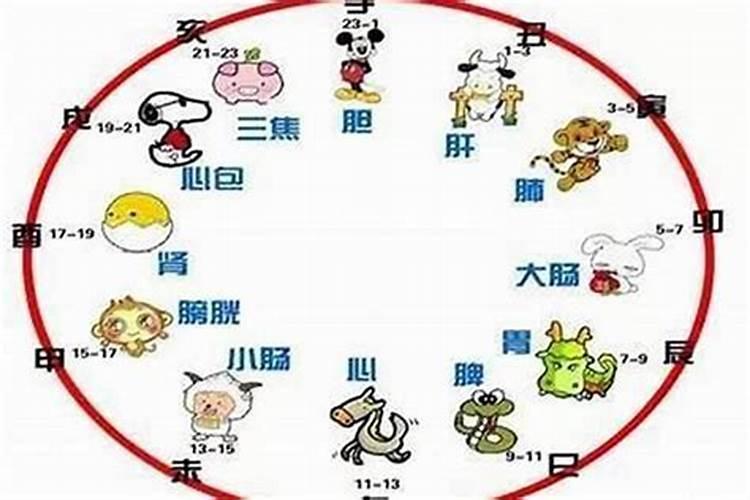 生肖鼠1984年2025年运势如何 生肖鼠1984年2025年全年运势