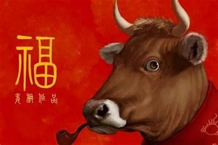 2022年属虎本命年可以生宝宝吗 命运顺遂幸福安泰？
