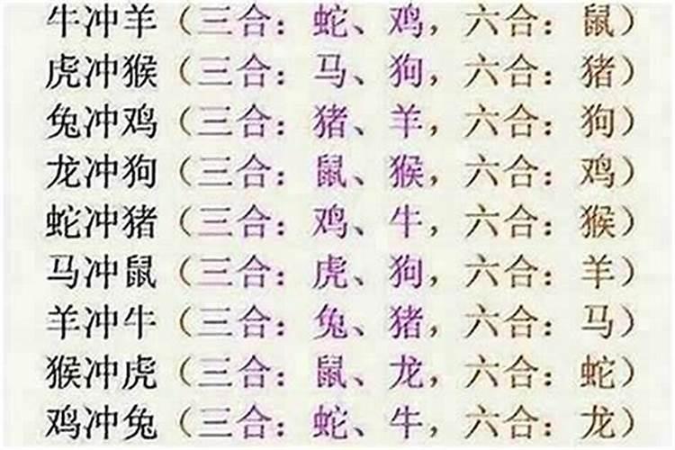 属牛的和什么属相最配多少岁结婚好