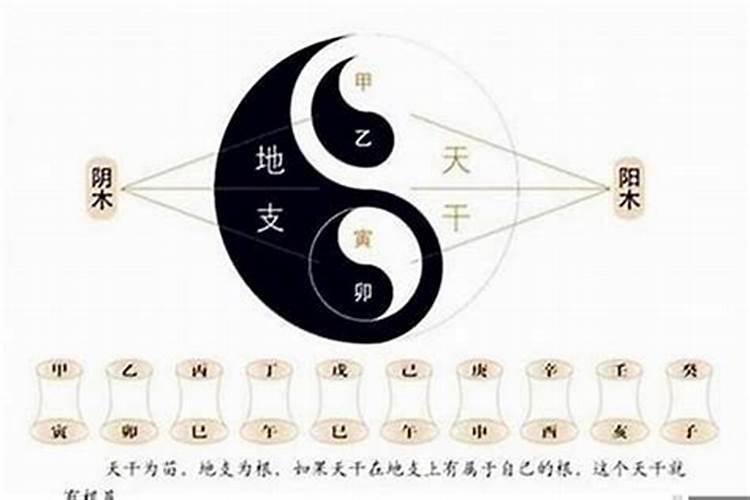 谁能帮我解释一下,五行生克制化宜忌:的具体意思？