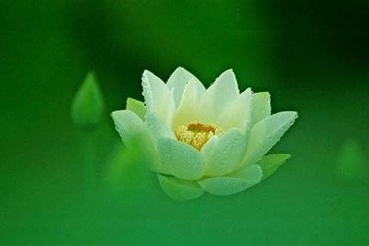 太岁符一年后怎么处理太岁符放哪里最好