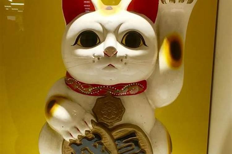 招财猫举左手和右手的区别是什么