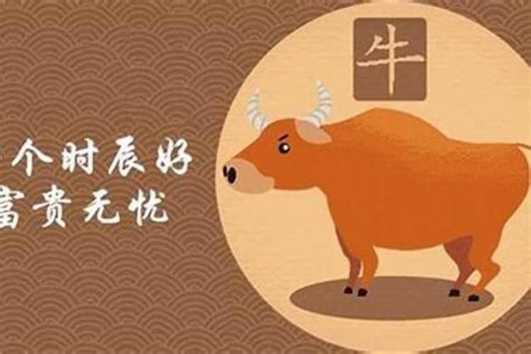 属牛女孩出生的四个最佳时辰