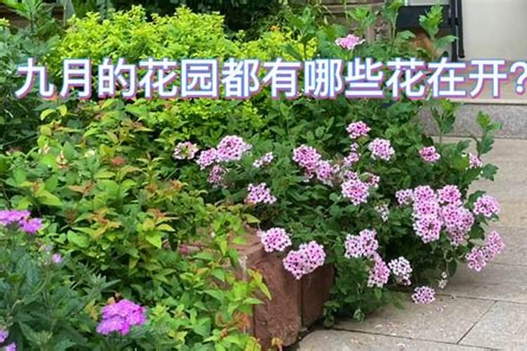 财神爷的正确摆放位置