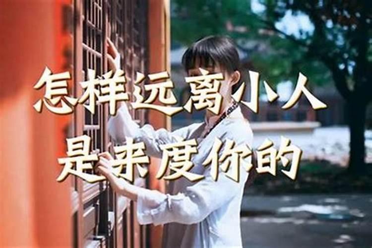大棚饭店如何装修