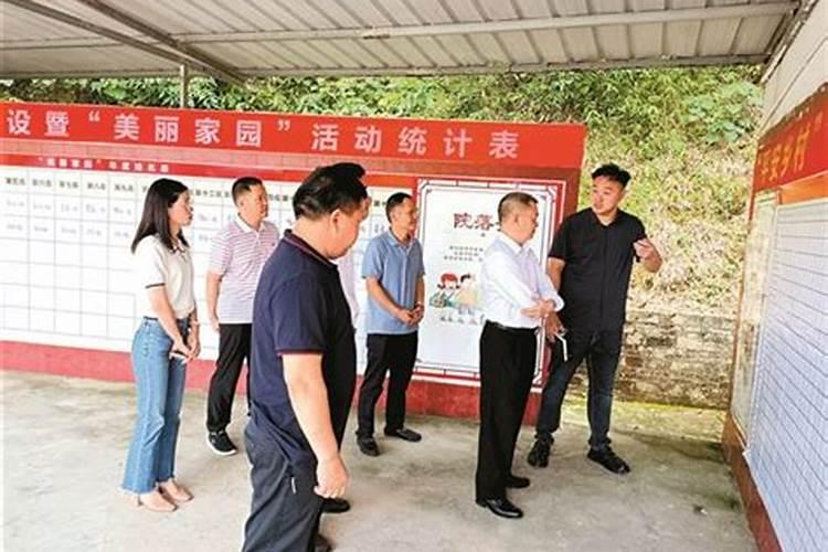 属龙的人2025年的命运