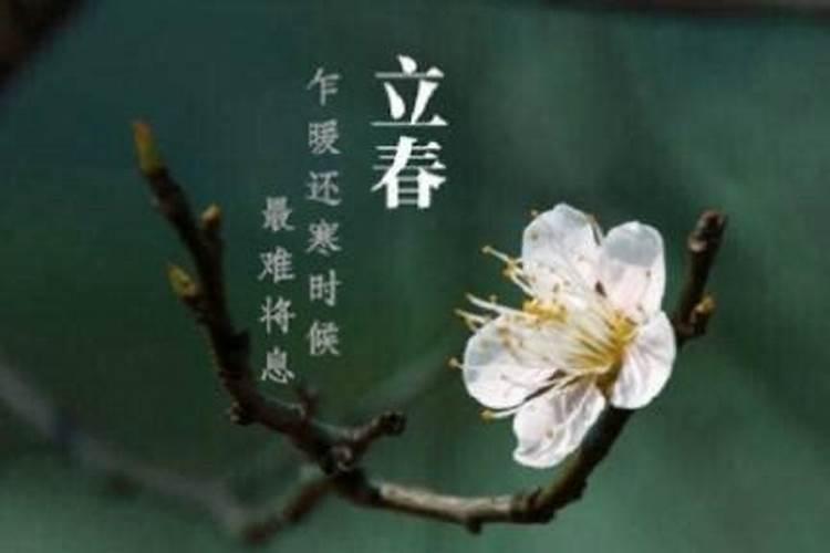 2023年本命年适合创业吗 本命年创业有什么讲究吗