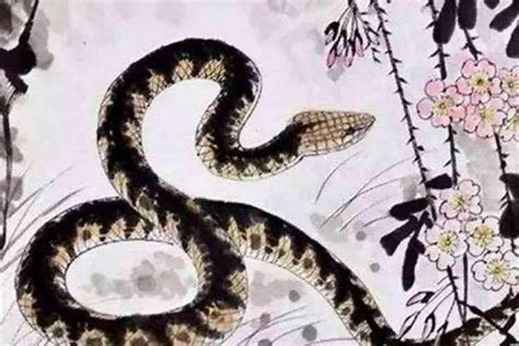 属龙爸爸和虎宝宝八字合不合 龙虎之人不克不合？
